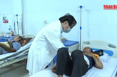 [Video] 3 thai phụ, 41 bệnh nhi bị ngộ độc trong vụ ăn bánh mì tại Quảng Ngãi