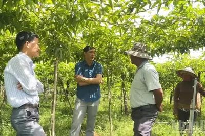 Mở hướng đi mới cho nông nghiệp bền vững ở xã Anh Dũng, Khánh Hòa