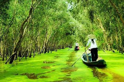 Cà Mau kêu gọi hơn 1.400 tỷ đồng phát triển du lịch sinh thái Vườn quốc gia U Minh Hạ