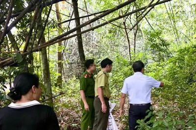 Người phụ nữ giao nộp trăn gấm quý hiếm, thả về rừng