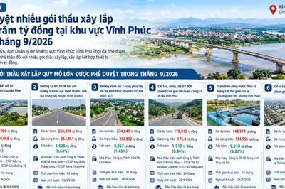 Phú Thọ: Phê duyệt nhiều gói thầu xây lắp hàng trăm tỷ đồng tại khu vực Vĩnh Phúc trong tháng 9/2026