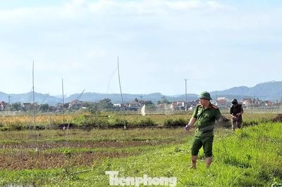 Công an lội ruộng gỡ 'ma trận' bẫy, ngăn nạn tận diệt chim trời