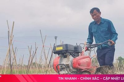 Nông dân Hà Tĩnh tất bật xuống giống, chăm sóc rau vụ tết