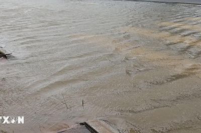 Đà Nẵng yêu cầu khẩn trương khắc phục ngập úng ven sông Hàn