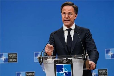 NATO lên tiếng sau loạt vụ tấn công tàu thương mại ở Biển Đen