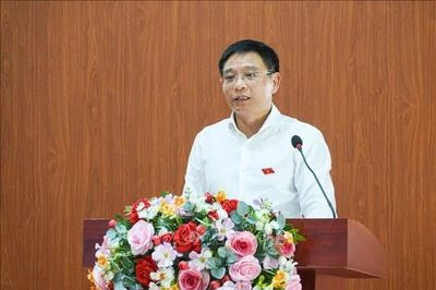 Kiến nghị tháo gỡ vướng mắc chính sách, hạ tầng, phát triển dưới tán rừng