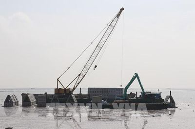 Gò Công dựng lá chắn trước nguy cơ biển xâm thực