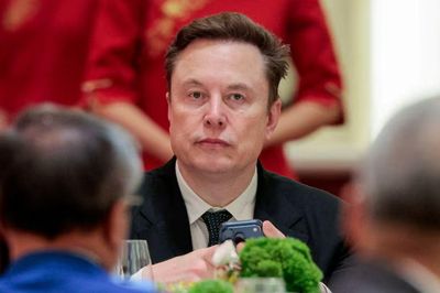 Lời hứa của Elon Musk về Internet vệ tinh giá rẻ