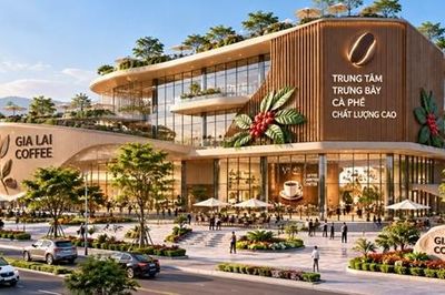 Gia Lai đấu giá đất xây Trung tâm cà phê chất lượng cao 287 tỷ đồng