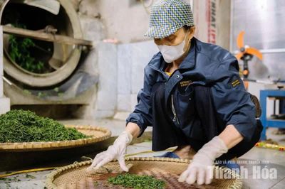 Đưa nông sản xứ Thanh vào kênh phân phối, tiêu dùng hiện đại