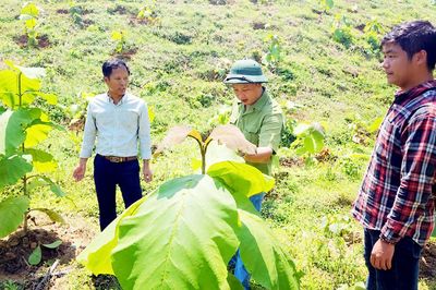 Bắc Ninh: Dồn lực giải các bài toán lớn về khoa học, công nghệ