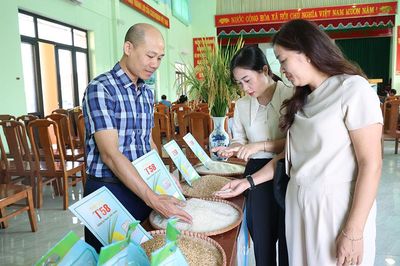 Bắc Ninh: Mô hình sản xuất giống lúa T58 đạt năng suất hơn 70 tạ/ha