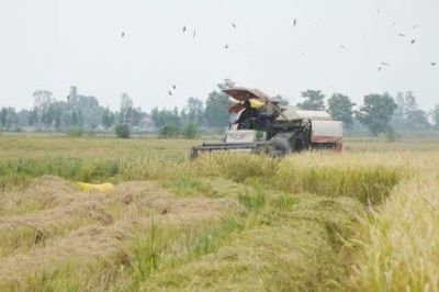 Xã Tân Hồng: Nhiều điểm sáng trong phát triển kinh tế - xã hội năm 2026