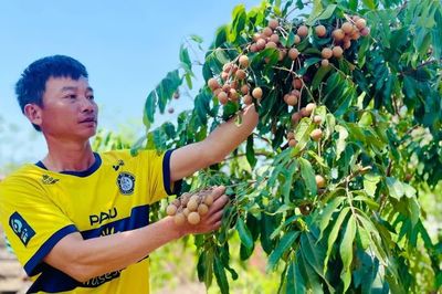 Chàng trai người Mường vươn lên làm giàu trên vùng đất khó