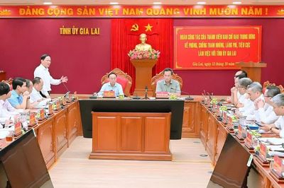 Gia Lai cần tiếp tục tăng cường phòng, chống tham nhũng, lãng phí, tiêu cực