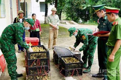 Ngăn hàng lậu từ biên giới