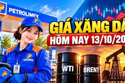 Giá xăng dầu hôm nay 13/10: WTI vượt 93 USD, Brent lên trên 106 USD/thùng