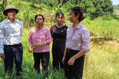 Lào Cai: Vốn vay ưu đãi tiếp sức tạo việc làm bền vững
