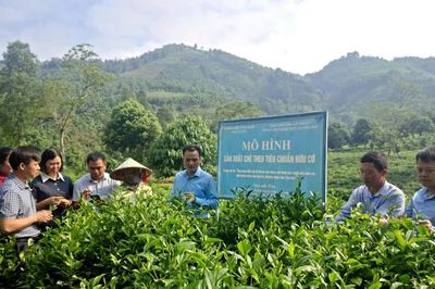 Phó Chủ tịch UBND tỉnh Giàng Quốc Hưng kiểm tra hai mô hình nông nghiệp ứng dụng khoa học công nghệ tại Hưng Khánh và Quy Mông