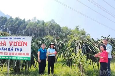 Phường Trung Tâm: Hoàn thiện không gian “Hoa trái bốn mùa - Trải nghiệm và kết nối” hưởng ứng Tuần Văn hóa, Du lịch Mường Lò