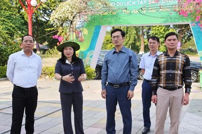 Phó Chủ tịch UBND tỉnh Vũ Thị Hiền Hạnh kiểm tra công tác chuẩn bị Lễ khai mạc Lễ hội Văn hóa, Du lịch Mường Lò năm 2026