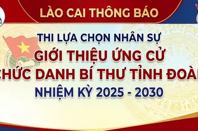 Lào Cai thông báo thi lựa chọn nhân sự để giới thiệu ứng cử chức danh Bí thư Tỉnh đoàn