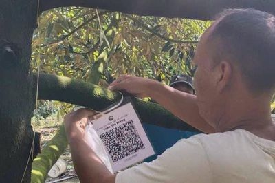 Chăm sóc cây trồng thời công nghệ số