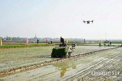 'Đòn bẩy' chuyển đổi xanh