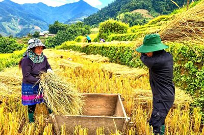 Độc đáo cảnh đập lúa bằng Pảng Thống của người Mông ở Mù Cang Chải