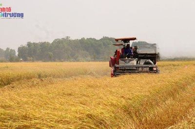 An Giang: Nâng tầm giá trị xuất khẩu, tạo lực đẩy tăng trưởng hai con số