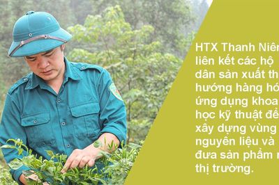 Cây ớt gió khơi nguồn chuỗi giá trị HTX trên cao nguyên đá