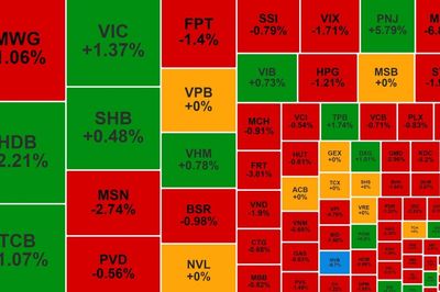PNJ được khối ngoại mua ròng trở lại, NVB giảm sàn