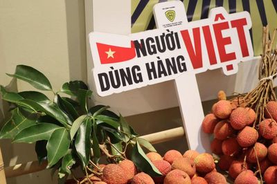 Quy định mới về xác định xuất xứ hàng hóa nội địa từ năm 2027