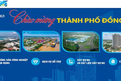 Sonadezi (SNZ) không đáp ứng điều kiện công ty đại chúng