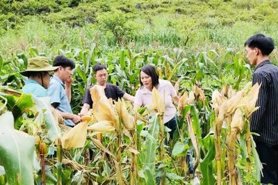 Người dân xã Tổng Cọt khai thác đất đai, tận dụng nguồn lực để giảm nghèo bền vững
