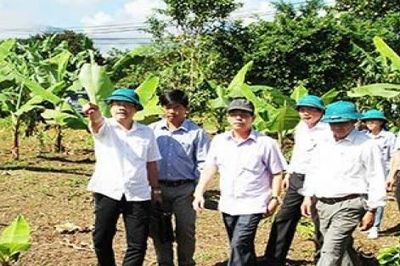 Khánh Hòa phấn đấu nâng thu nhập người lao động HTX lên 120 triệu đồng/năm vào năm 2030