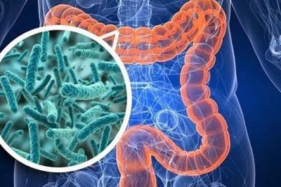 Tuổi 50 muốn khỏe, hãy duy trì 4 thói quen tốt cho hệ vi sinh đường ruột