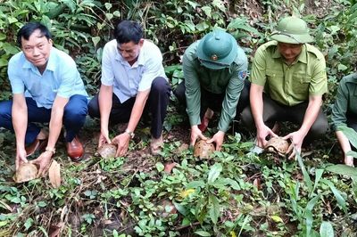 Vượt đèo dốc đưa 16 cá thể động vật nguy cấp, quý hiếm thả về rừng