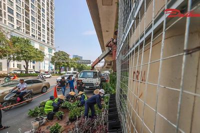 Hà Nội thí điểm phủ xanh trụ cầu, hầm chui và nhà chờ xe buýt