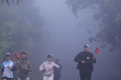 Đà Nẵng: Bán đảo Sơn Trà đón du khách trở lại tham quan