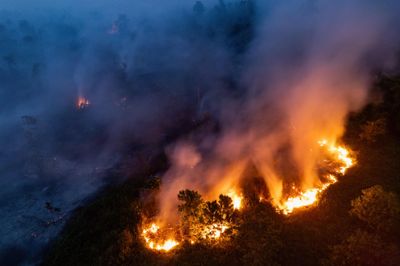 Cháy rừng do El Nino thiêu rụi gần 300 ngôi nhà ở Indonesia