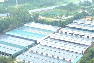 Quảng Trị hỗ trợ hộ gia đình lắp đặt điện mặt trời mái nhà
