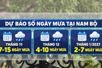 [Video] Mùa mưa tại Thành phố Hồ Chí Minh và Nam Bộ có thể kết thúc sớm