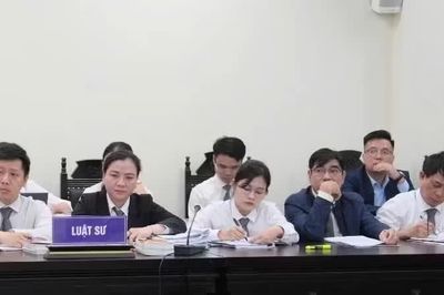Nâng cao năng lực luật sư công theo hướng chuyên nghiệp, sát thực tiễn