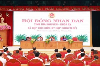 Thái Nguyên chuyển mục đích sử dụng hơn 100ha rừng phục vụ các dự án