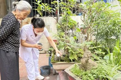 Người bệnh mắc sốt xuất huyết không được chủ quan khi vừa 'hạ sốt'