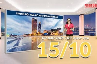 [Video] Dự báo thời tiết đêm nay và ngày mai 15/10/2026: Bắc Bộ nắng ráo, miền Trung mưa giảm dần