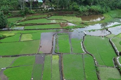 Hệ thống giếng cổ Gio An mở ra sức hút cho du lịch địa phương