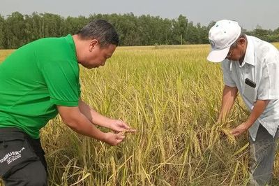 Nam bộ vẫn mưa những ngày tới, tập trung vào chiều tối