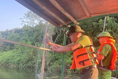Lào Cai tháo dỡ gần 1.000m lưới bẫy chim hoang dã trên đầm Vân Hội